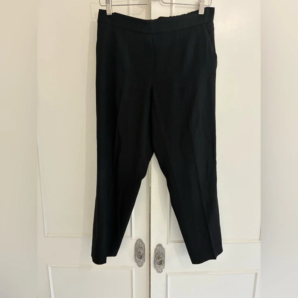 Aritzia Babaton Conan ankle pants - Picture 2 of 3